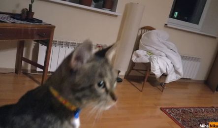 Застукал сводную сестру во время просмотра порно и сладко оттрахал