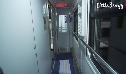 Секс в поезде с симпатичной попутчицей!