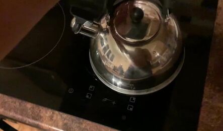 Впустил в дома молодую девушку и отлично с ней зажег