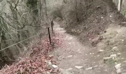 Незнакомый парень уговорил девушку на отсос прямо на улице