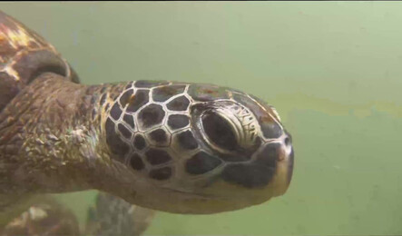 Секс с красивой подругой на отдыхе в отеле!